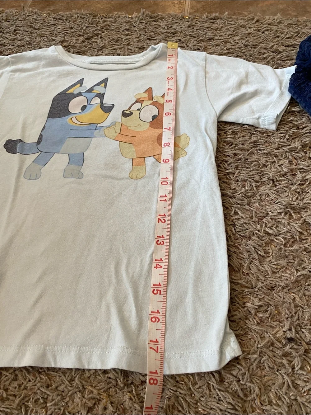Kids lighte blue Graphic Tee with Bluey 4/5